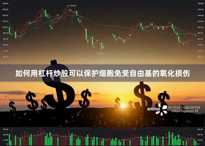 如何用杠杆炒股可以保护细胞免受自由基的氧化损伤