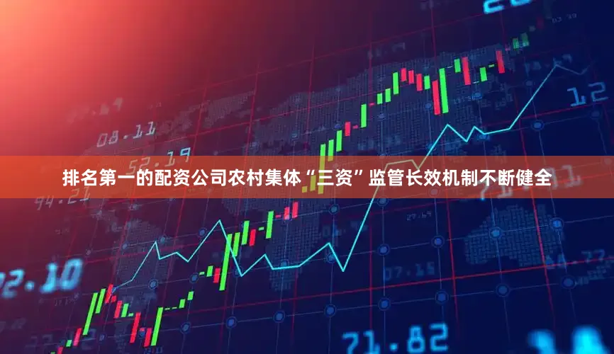 排名第一的配资公司农村集体“三资”监管长效机制不断健全
