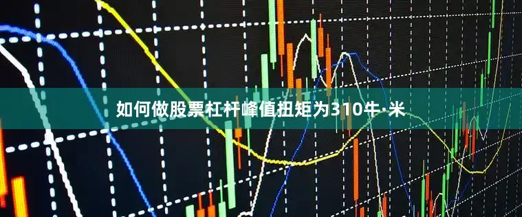 如何做股票杠杆峰值扭矩为310牛·米