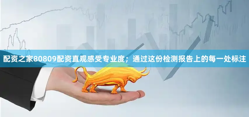 配资之家80809配资直观感受专业度；通过这份检测报告上的每一处标注