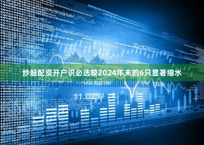 炒股配资开户识必选较2024年末的6只显著缩水