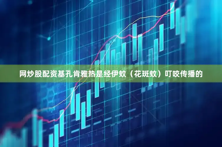 网炒股配资基孔肯雅热是经伊蚊（花斑蚊）叮咬传播的