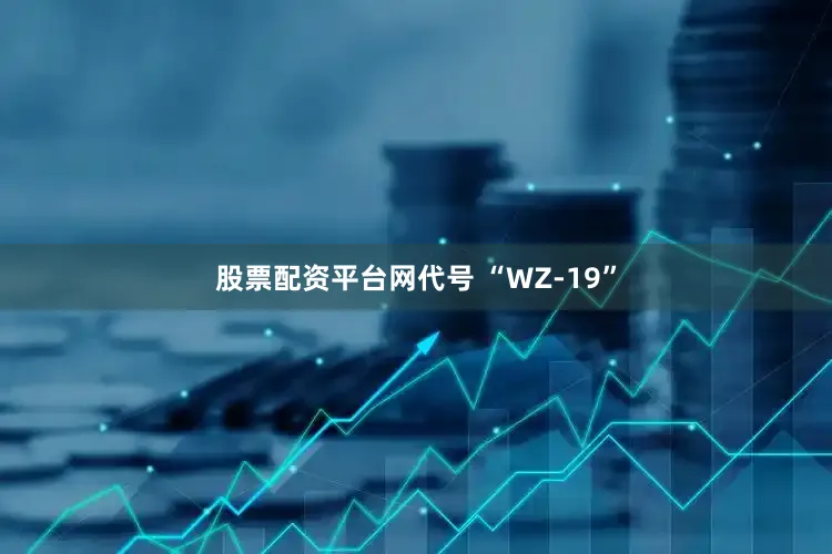 股票配资平台网代号 “WZ-19”