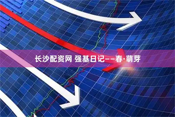长沙配资网 强基日记——春·萌芽